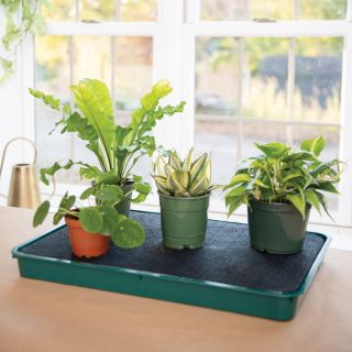 Self-Watering Tray Thumbnail